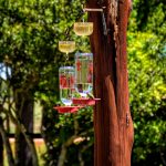 Photo Outdoor setting