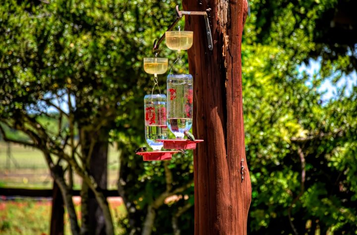 Photo Outdoor setting
