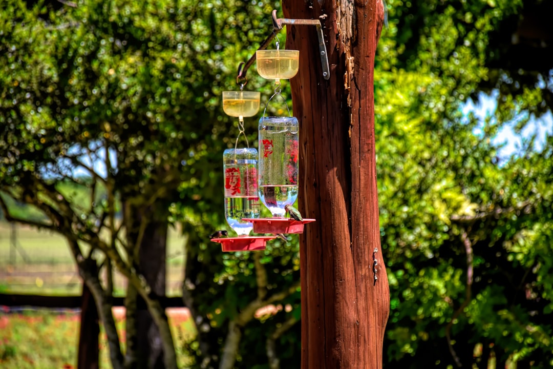 Photo Outdoor setting